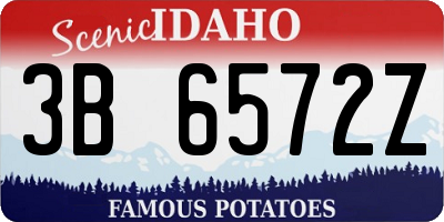 ID license plate 3B6572Z