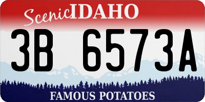 ID license plate 3B6573A