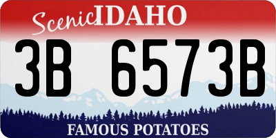 ID license plate 3B6573B