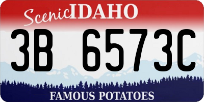 ID license plate 3B6573C
