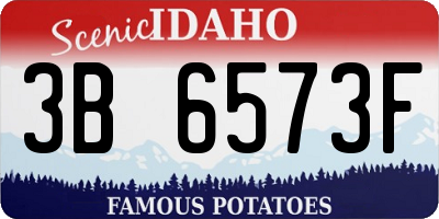 ID license plate 3B6573F