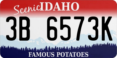 ID license plate 3B6573K