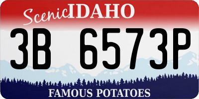 ID license plate 3B6573P
