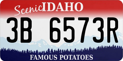 ID license plate 3B6573R