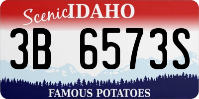 ID license plate 3B6573S