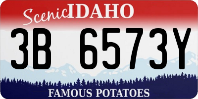 ID license plate 3B6573Y