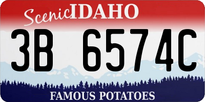 ID license plate 3B6574C