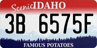 ID license plate 3B6575F
