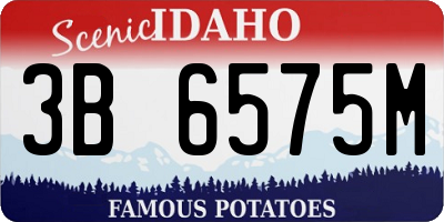 ID license plate 3B6575M