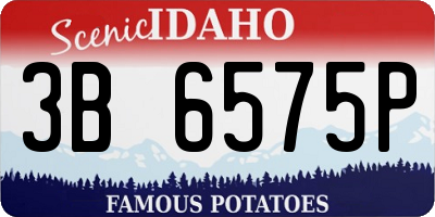 ID license plate 3B6575P