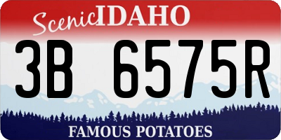 ID license plate 3B6575R