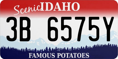 ID license plate 3B6575Y