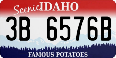ID license plate 3B6576B