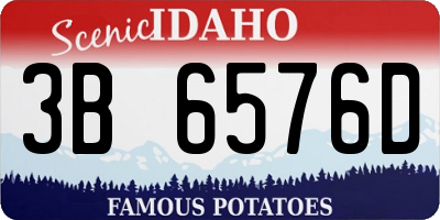 ID license plate 3B6576D