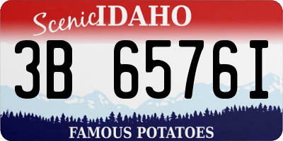 ID license plate 3B6576I