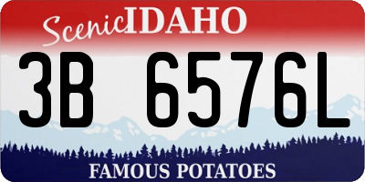 ID license plate 3B6576L