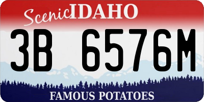 ID license plate 3B6576M