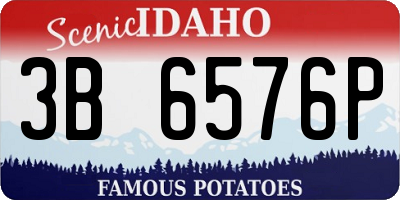 ID license plate 3B6576P