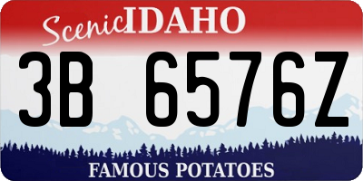 ID license plate 3B6576Z