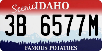 ID license plate 3B6577M