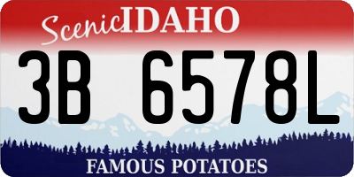 ID license plate 3B6578L