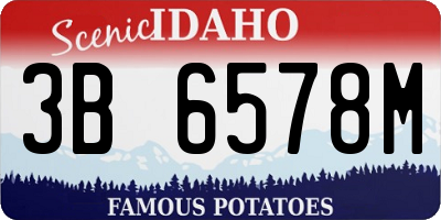ID license plate 3B6578M