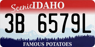 ID license plate 3B6579L