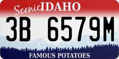ID license plate 3B6579M