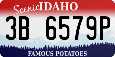ID license plate 3B6579P