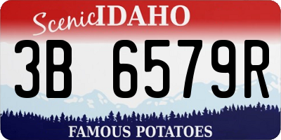 ID license plate 3B6579R