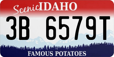 ID license plate 3B6579T