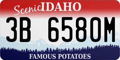 ID license plate 3B6580M