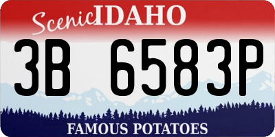 ID license plate 3B6583P