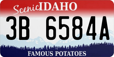 ID license plate 3B6584A