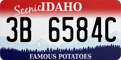 ID license plate 3B6584C