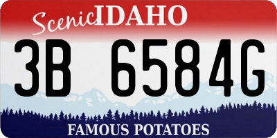 ID license plate 3B6584G