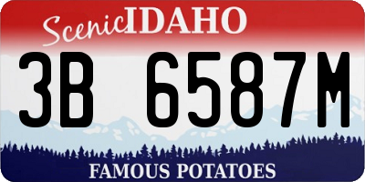 ID license plate 3B6587M