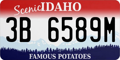 ID license plate 3B6589M