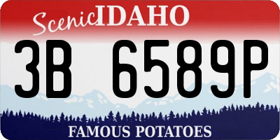 ID license plate 3B6589P