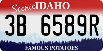 ID license plate 3B6589R
