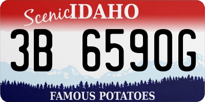 ID license plate 3B6590G