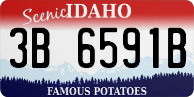 ID license plate 3B6591B