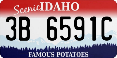 ID license plate 3B6591C
