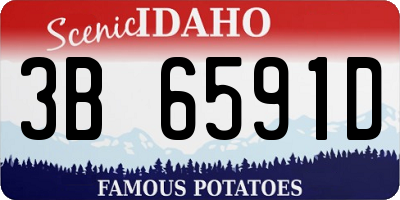 ID license plate 3B6591D