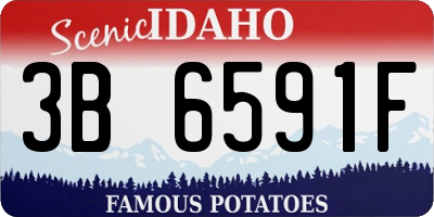 ID license plate 3B6591F
