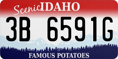 ID license plate 3B6591G