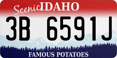 ID license plate 3B6591J