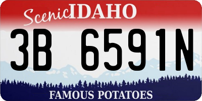 ID license plate 3B6591N