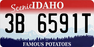ID license plate 3B6591T