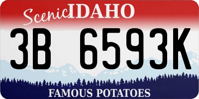 ID license plate 3B6593K